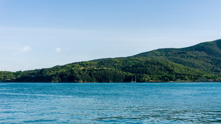 Horizontal photo of the cliff covered by green trees and bush with Mediterranean sea in the front. The rock / cliff is on the Elba island in Italy Tuscany. Sky is almost clear.の写真素材