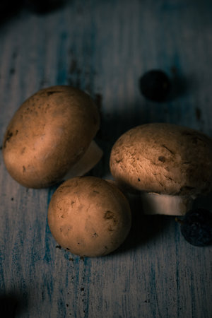 Vertical photo with top view on three edible mushrooms.の写真素材