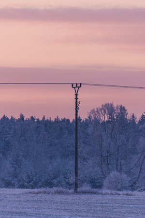 Vertical photo with winter landscape. Scene is captured in morning light with orange cloudy sky. Single electrical pillar is in the centre with wires on both sides. Trees are covered by snow.の写真素材