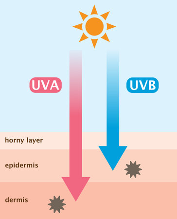 UVA and UVB radiation in pink.のイラスト素材