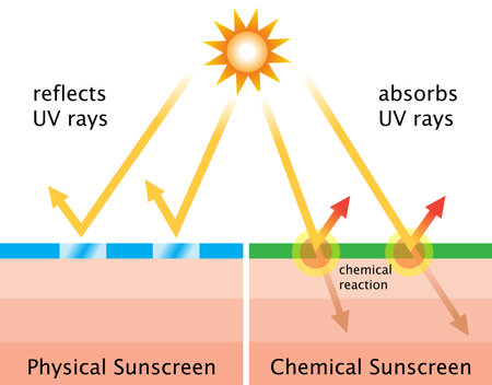 Physical sunscreens reflect the sunâs rays. Chemical sunscreens absorb UV rays in a chemical reaction that dissipates the heat back off the skin.のイラスト素材