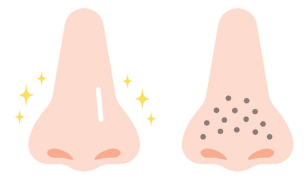 Cartoon illustration of clogged pores and clean pores on nose.のイラスト素材