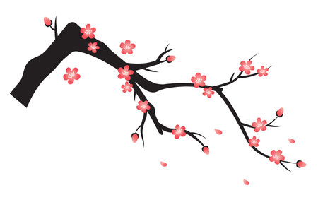 plum blossom. asian traditional flower illustrationのイラスト素材