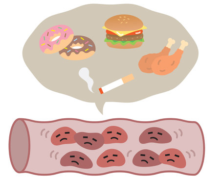 eating junk food and smoking increase blood cholesterol and lead to unhealthy blood vesselのイラスト素材