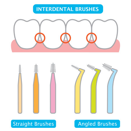 interdental brush remove germs,plaque, and food particles between teethのイラスト素材