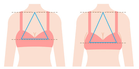 ideal chest form is regular triangle connecting three points from center of clavicle to top breast. sagging boobs shape isosceles triangleのイラスト素材