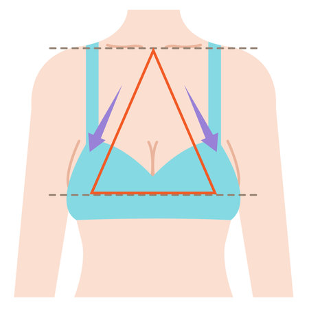 sagging breast shape is isosceles triangle connecting three points from center of clavicle to top boobs.  Beauty and body care concept illustrationのイラスト素材