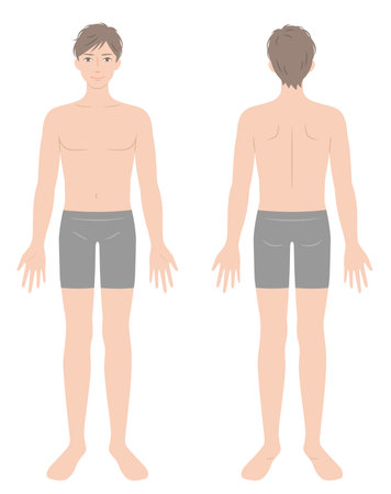 young male full body in underwear illustration.  healthy body care conceptのイラスト素材