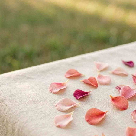 Rose petals on a table. Selective focus. Nature.