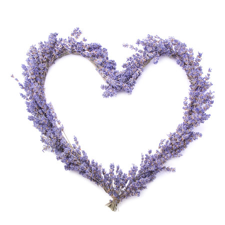 Lavender heart, isolated.の写真素材