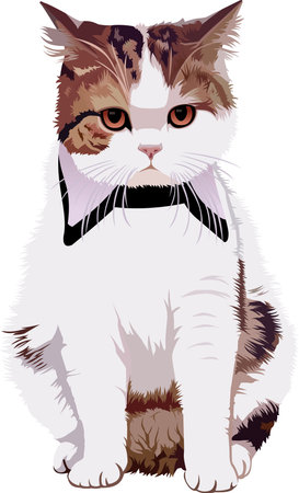 cat2vector illustrationのイラスト素材
