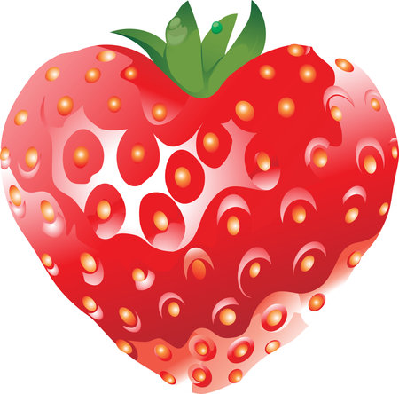 strawberryvector illustrationのイラスト素材