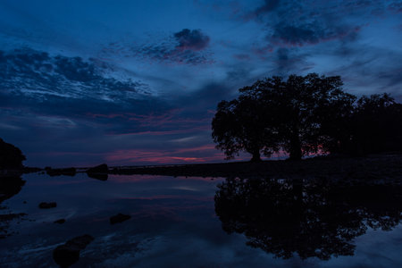 Silhouette shoot of landscape view of tree in twilightの写真素材