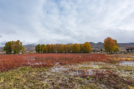 Eco-Ranchの写真素材