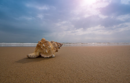 Beachの写真素材