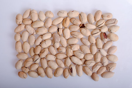 Pecansの写真素材