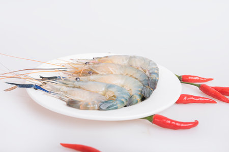 Shrimpの写真素材
