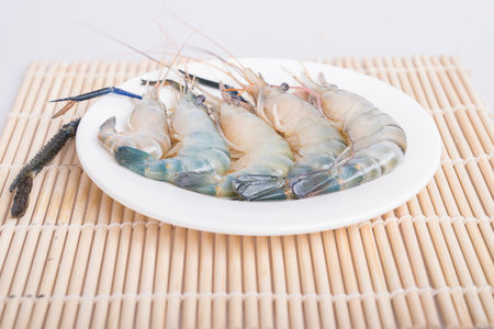 Shrimpの写真素材