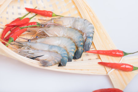Shrimpの写真素材