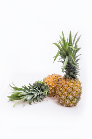 Pineappleの写真素材