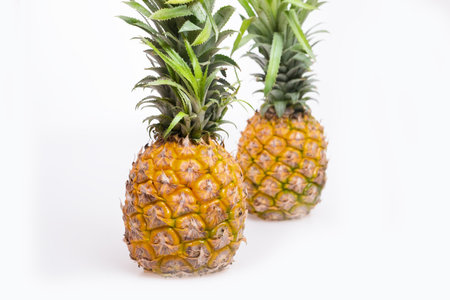 Pineappleの写真素材