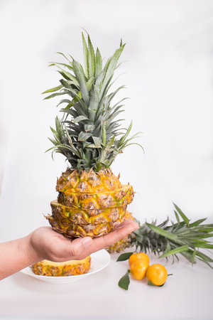 Pineappleの写真素材