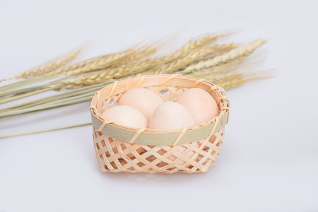 Eggの写真素材