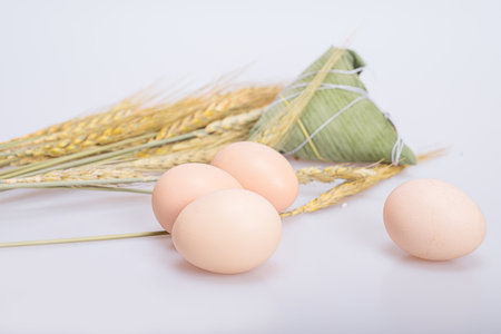Eggの写真素材