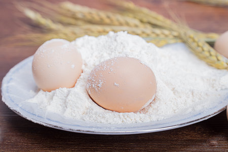 Eggの写真素材