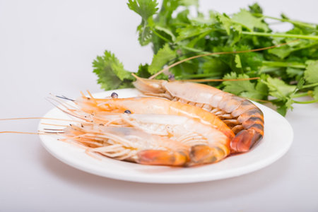 Shrimpの写真素材
