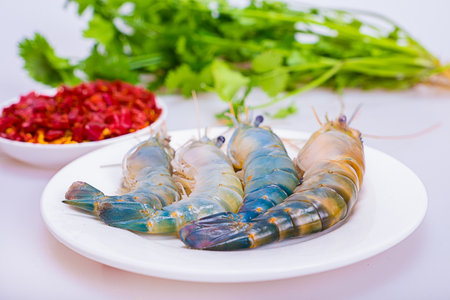 Shrimpの写真素材