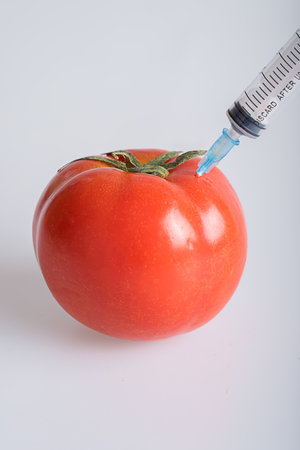 Tomatoの写真素材