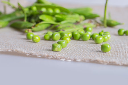 Broad beanの写真素材