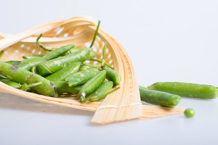 Broad beanの写真素材