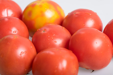Tomatoの写真素材
