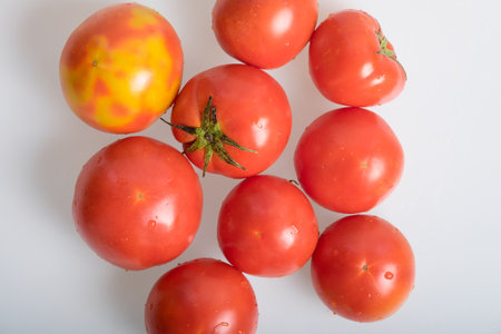 Tomatoの写真素材