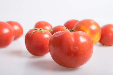 Tomatoの写真素材