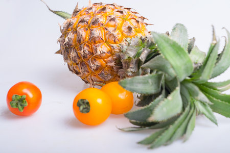 Pineappleの写真素材