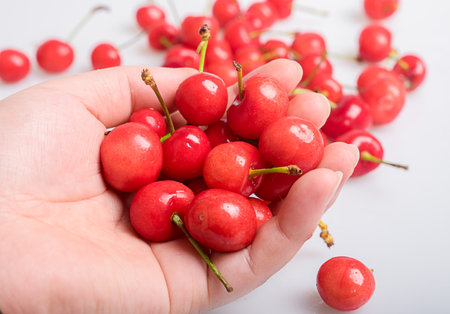 cherryの写真素材