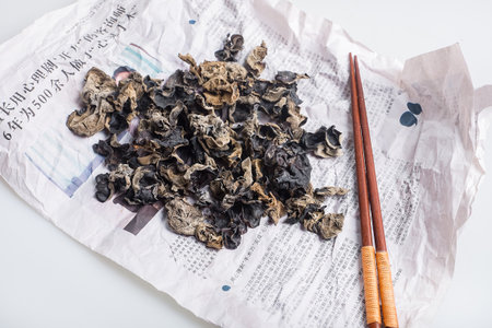 fungusのeditorial素材