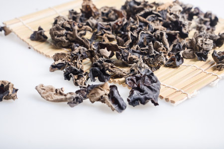 fungusの写真素材