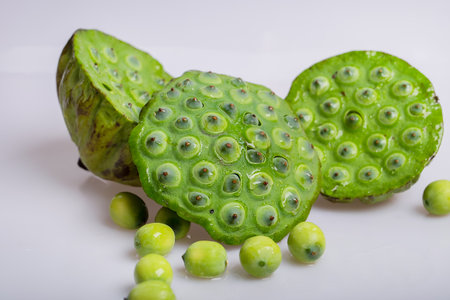 Lotus seedの写真素材