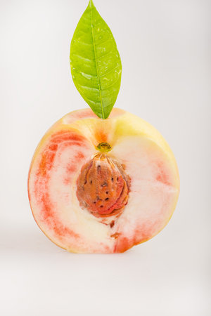 peachesの写真素材