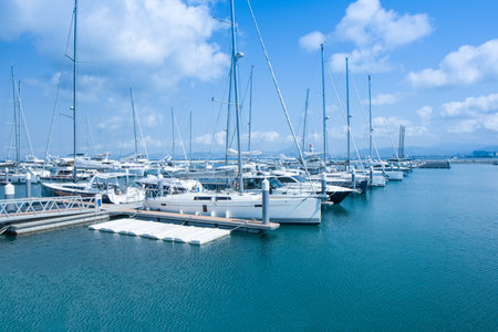 Marina port with yachtsの写真素材
