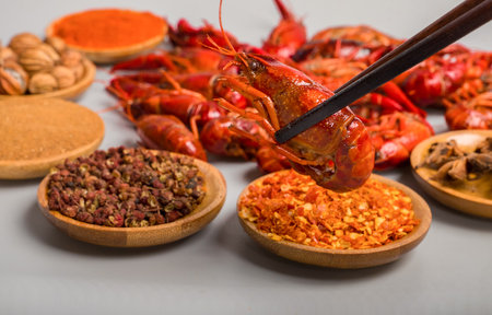 Crayfish and seasoningの写真素材