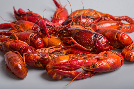 Closeup of several crayfishの写真素材