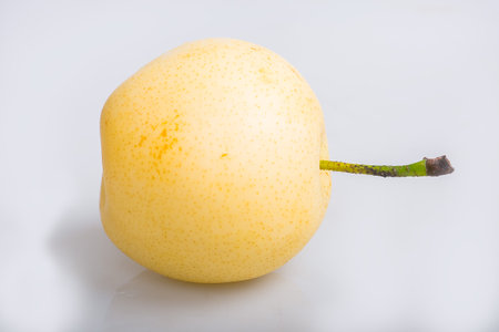 pears on white backgroundの写真素材