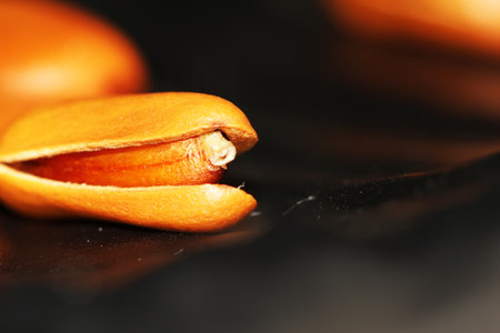 pine nutsの写真素材