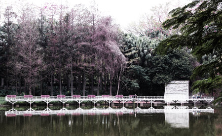 Park Cornerのeditorial素材