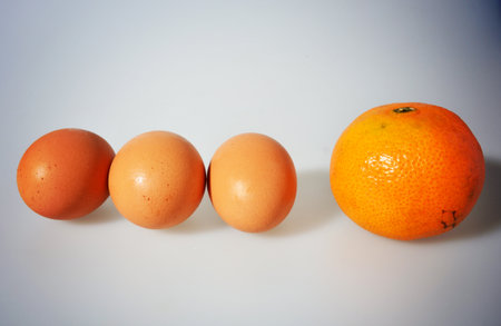Orange and eggsの写真素材